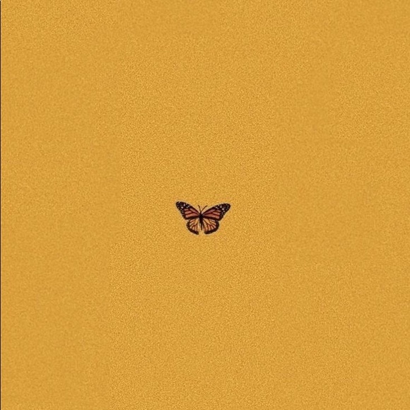 Meet your Posher, Gabriela - Picture 1 of 1